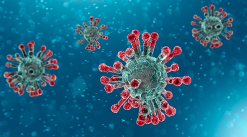 Microscopic image of coronaviruses
