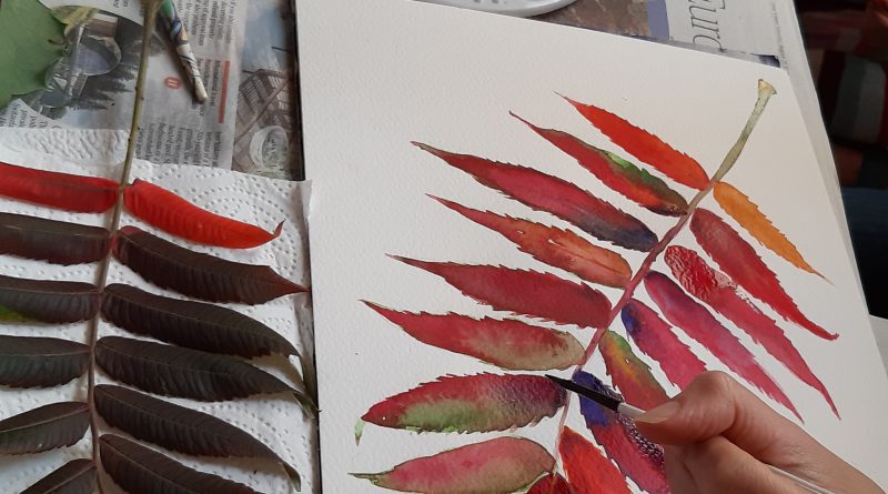Image of watercolour leaf painting