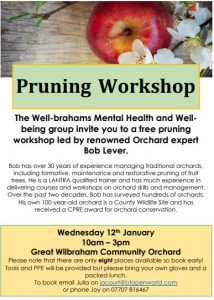 Pruning Workshop Poster