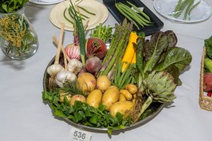 Image of a collection of assorted vegetables on a plate including asparagus, artichoke, lettuce, garlic, potatoes, herbs and more.