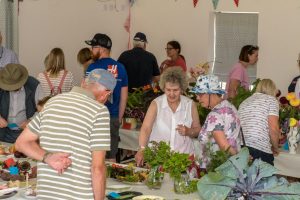 Image of villagers enjoying the exhibits