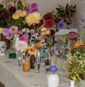 Image of floral exhibits at the village show