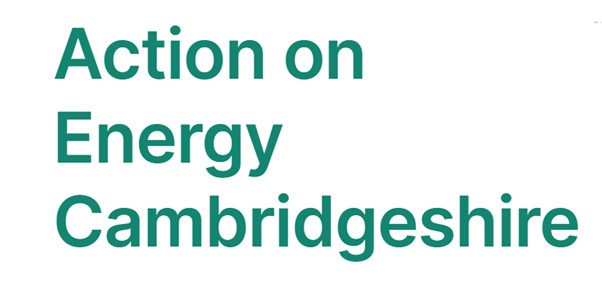 Action on Energy text in green on white background