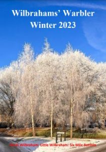 Image of cover with Silver Birch trees and blue sky