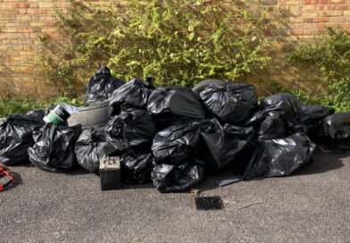 Village Litter Picks Dates