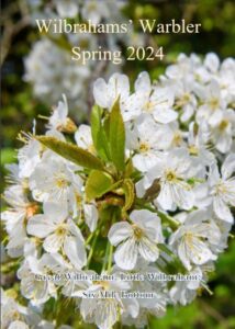 Cover with close-up of white blossom and text over