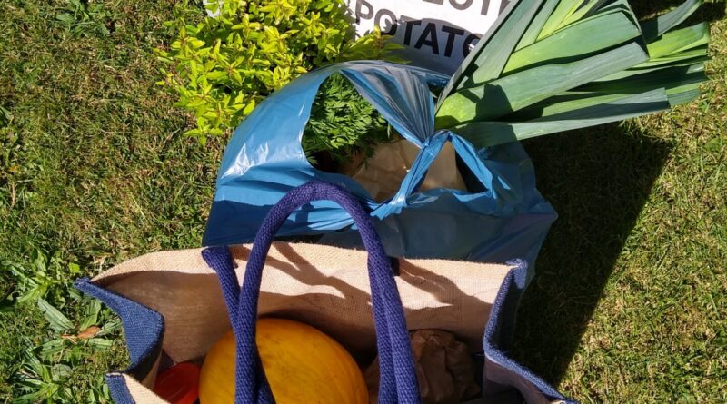 Brown paper bag containing melon with a blue plastic bag of lees and a sign for potatoes on green lawn.